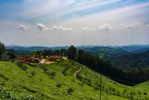 Hills