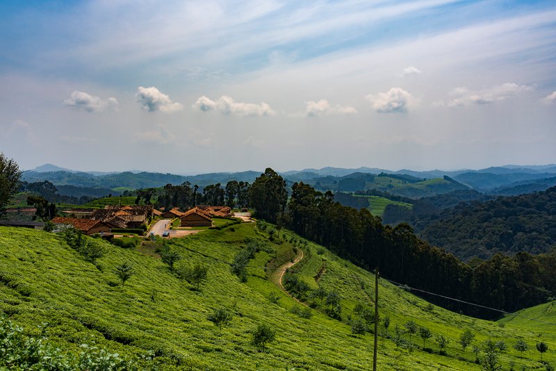 Hills