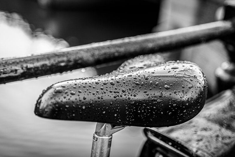 Bicycle Seat