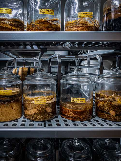 Noma Fermentation Lab