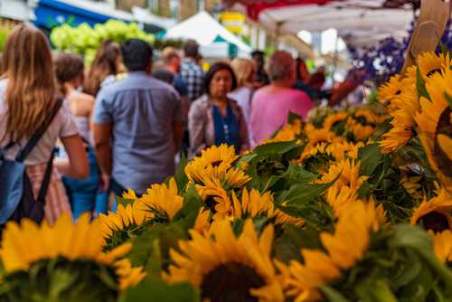 Columbia Road Flower Market