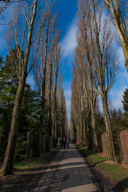 Assistens Kirkegård