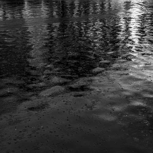 Rain in the Canal