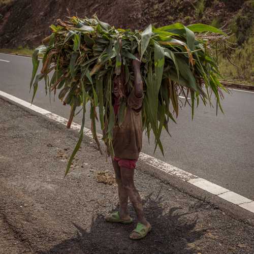 Roadside Child