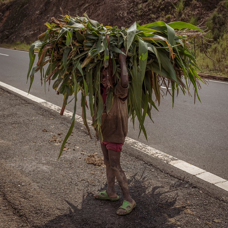Roadside Child