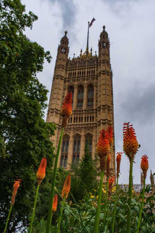 Palace of Westminster